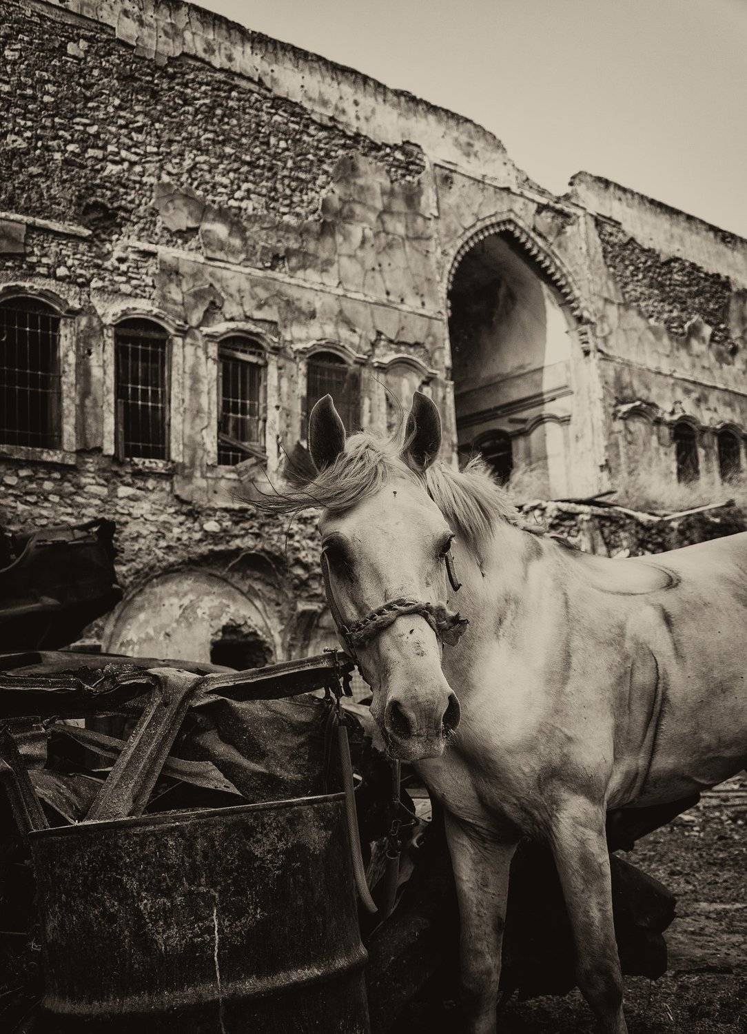 Old Mosul ., mohamad jalili