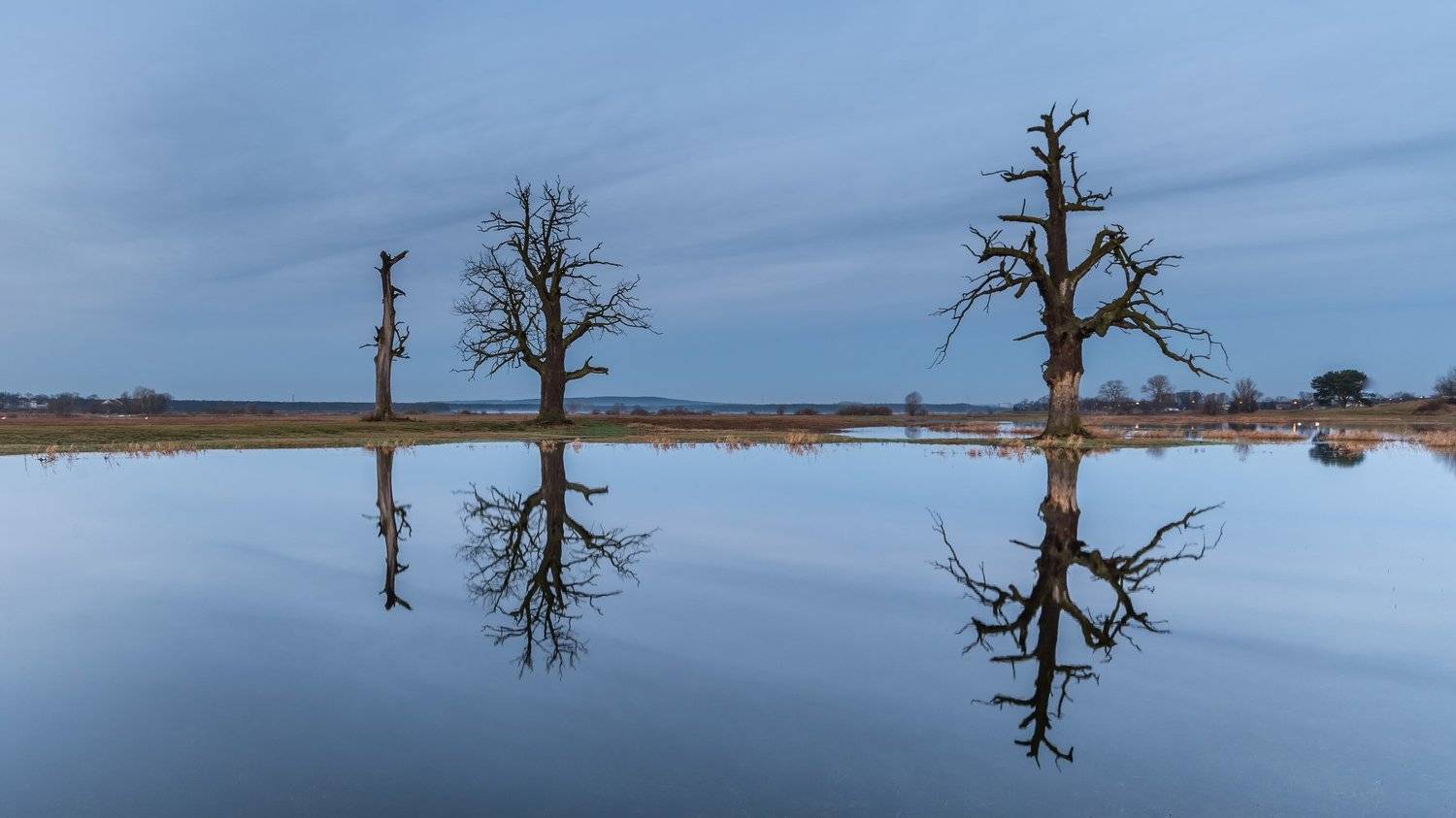 , Maciej Werbliński