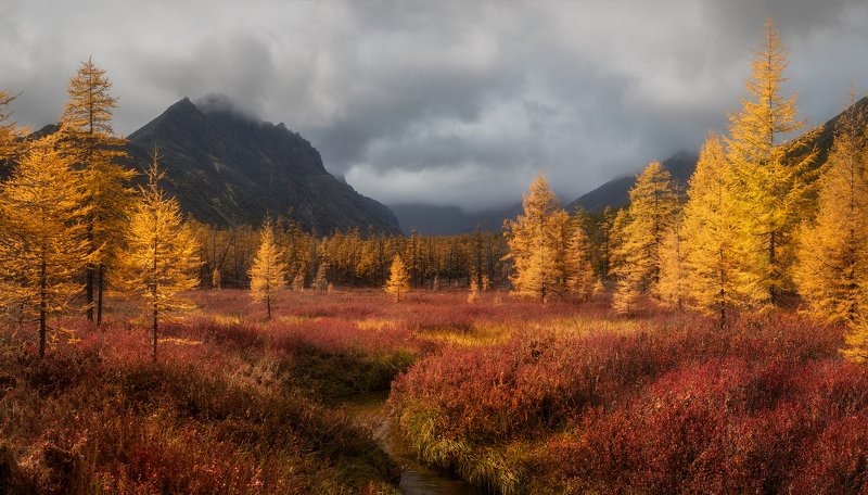 колыма, осень, озеро джека лондона Золотая осень на Колыме фото превью