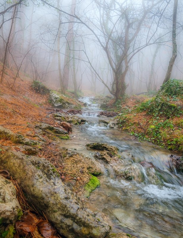 Туманный Темиар. фото превью