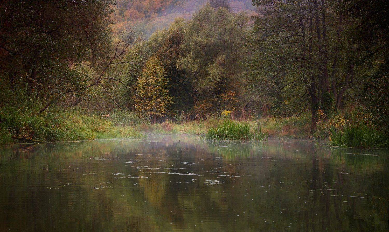 , Баранов Олег