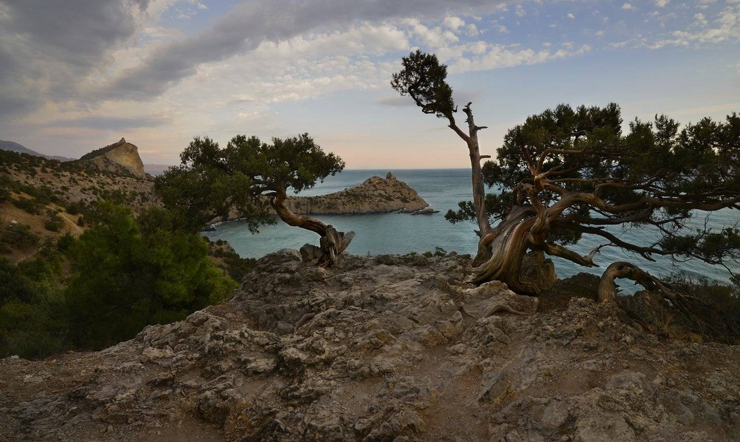 , Владимир Метцгер