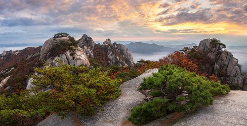Autumn in Dobongsan