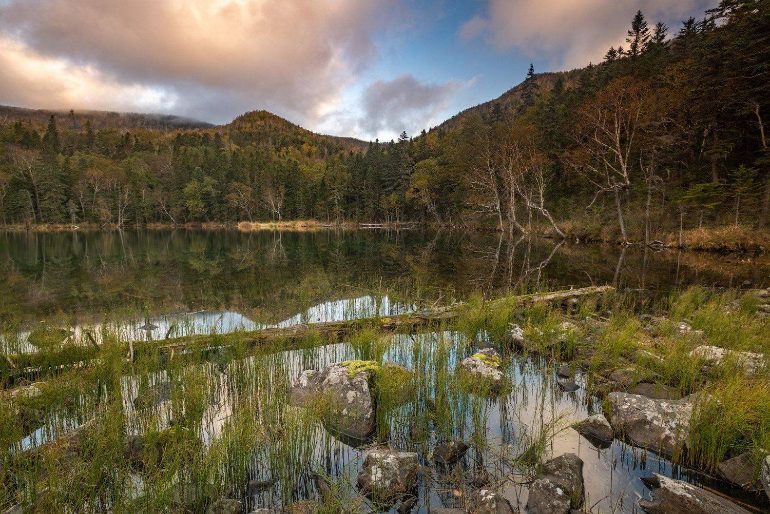 lake, landscape, nature, reflections, tree, water, sunrise, scenics, outdoors, Иван Боровков