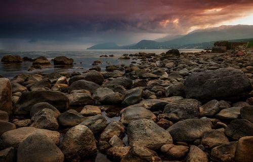 Перед бурей