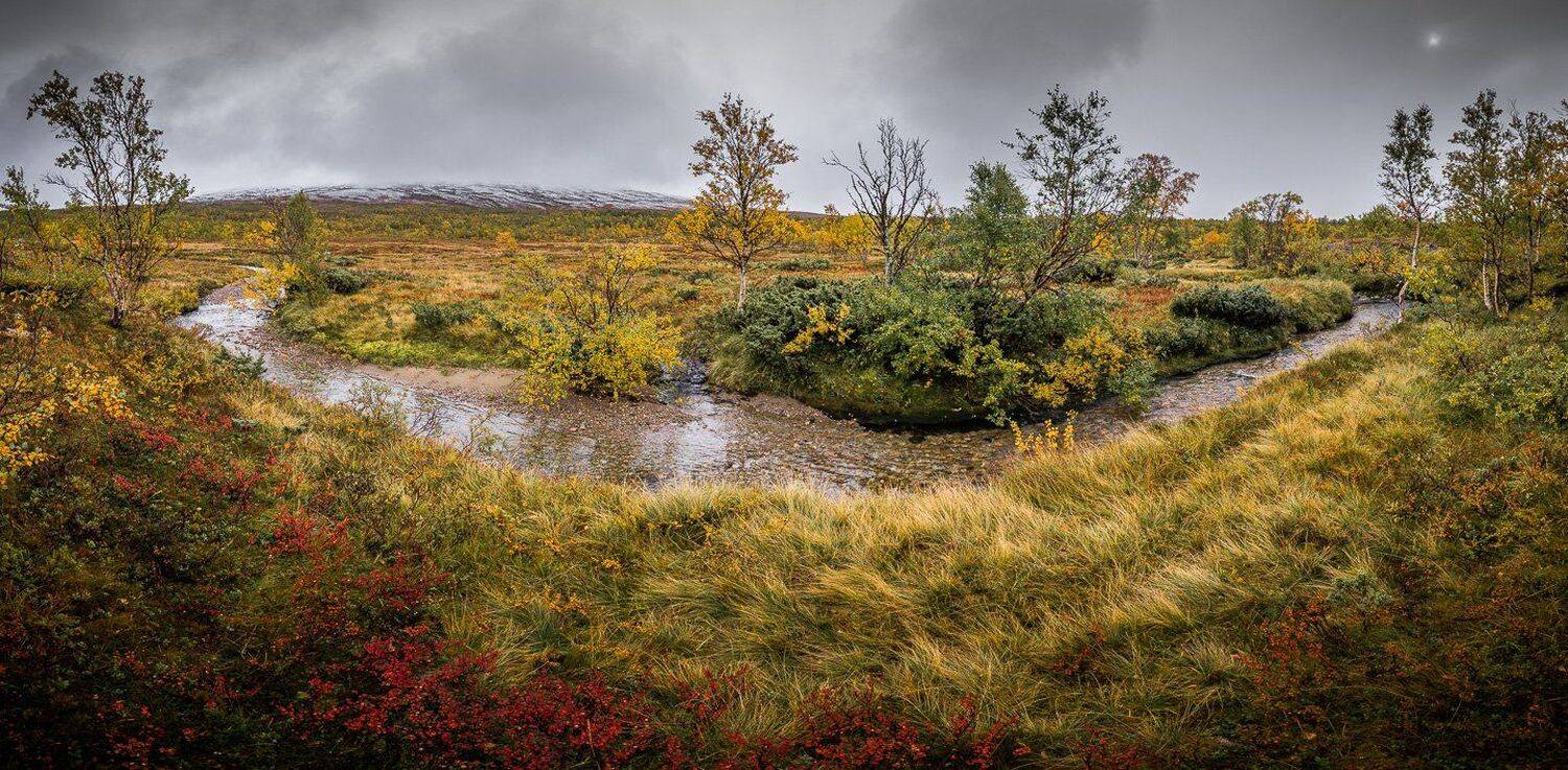 autumn,autumnal,season,mountains,norway,norwegian,scandinavia,sylan,trees,river,nature,outdoor, Adrian Szatewicz