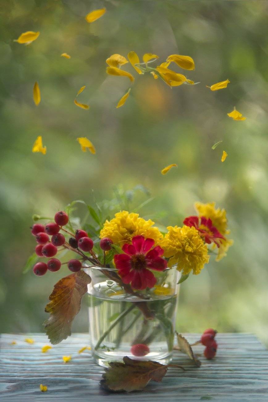 осень,натюрморт,ветер,цветы,лепестки,рябина, Елена Брежицкая