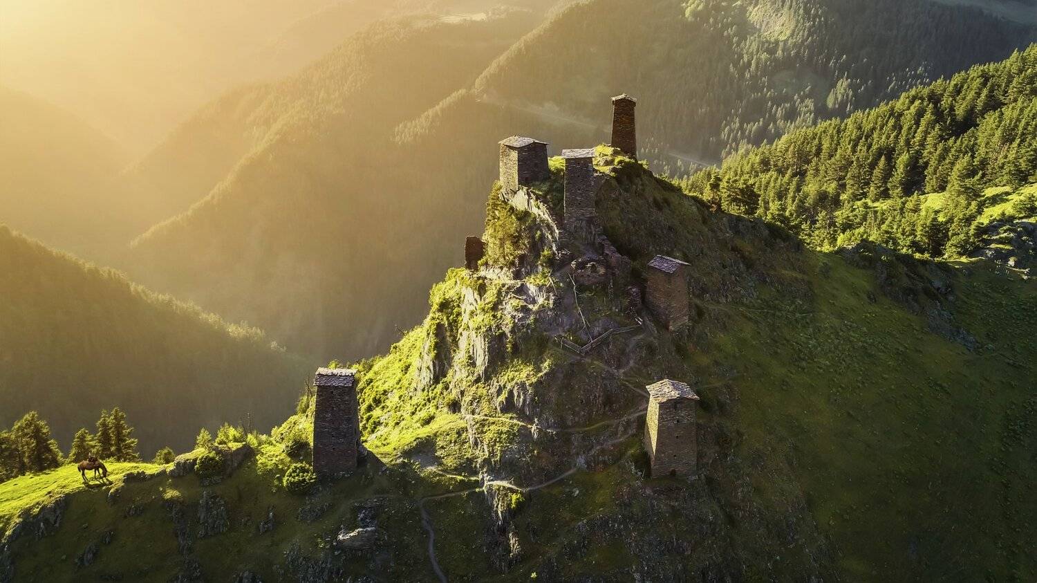 , Николай Мозгунов