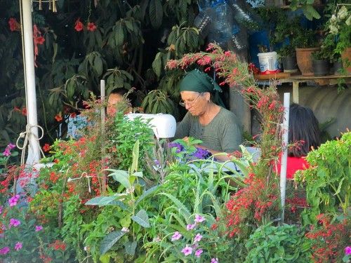 Турецкая швея