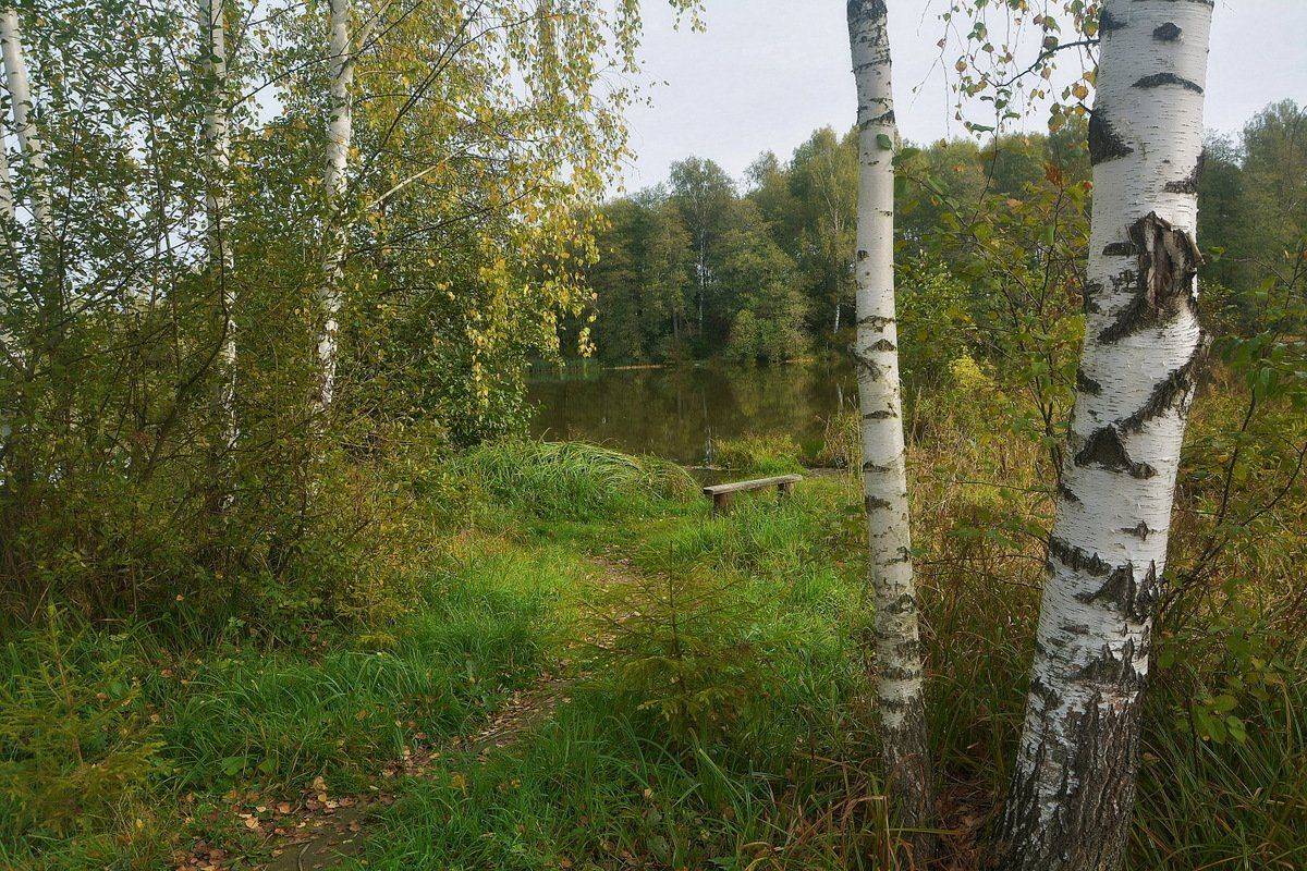 сергей алексеев, Сергей Алексеев
