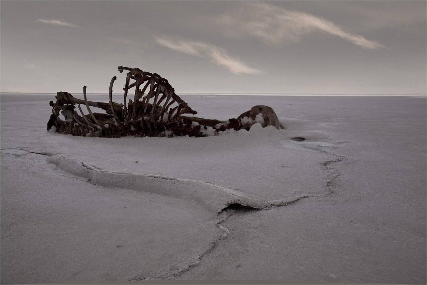 соленое озеро, Виктор Кириллов