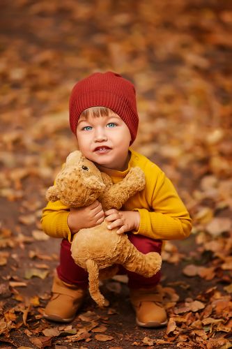 Дамир и Симба