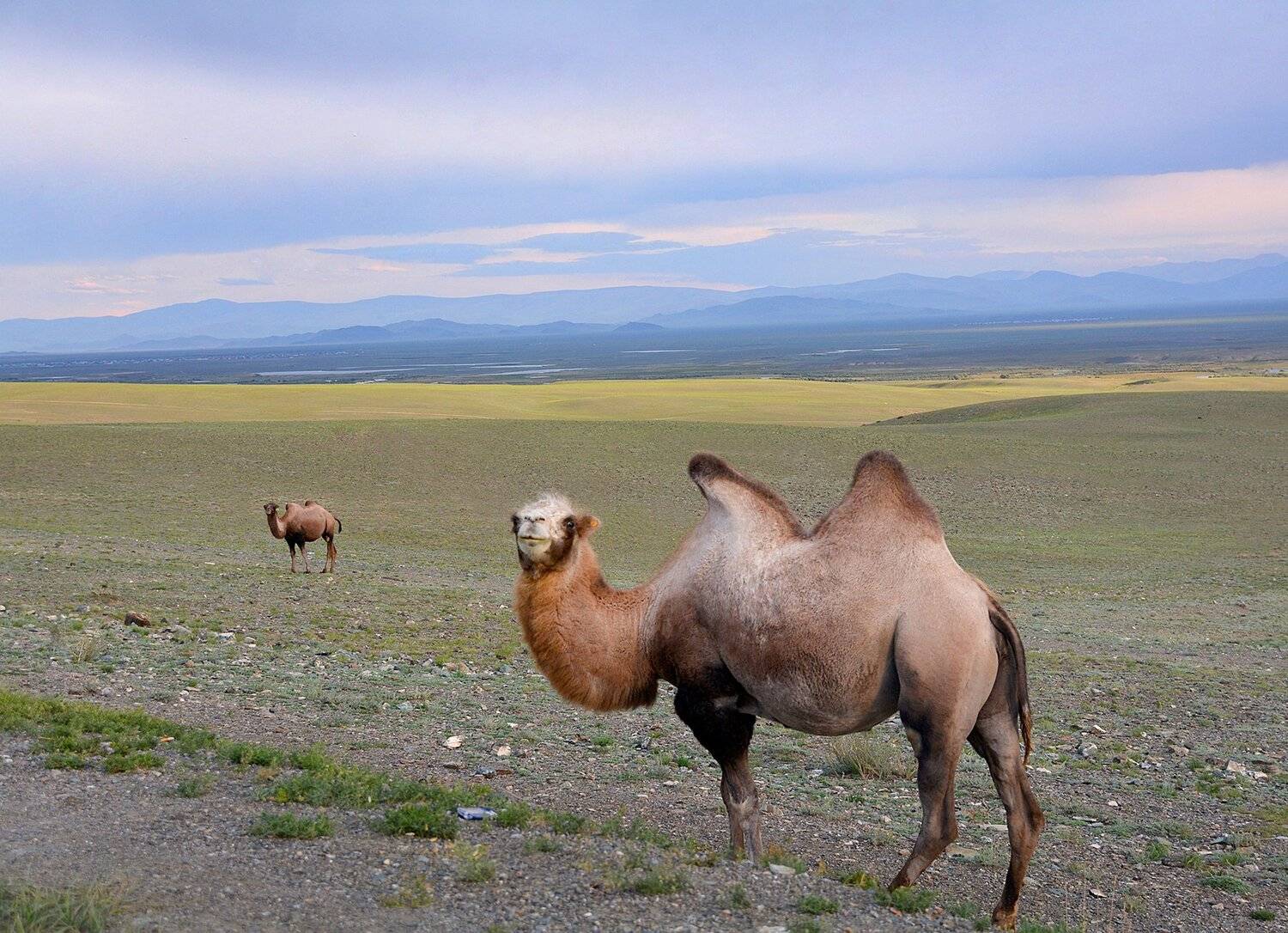 , Михаил Белоусов