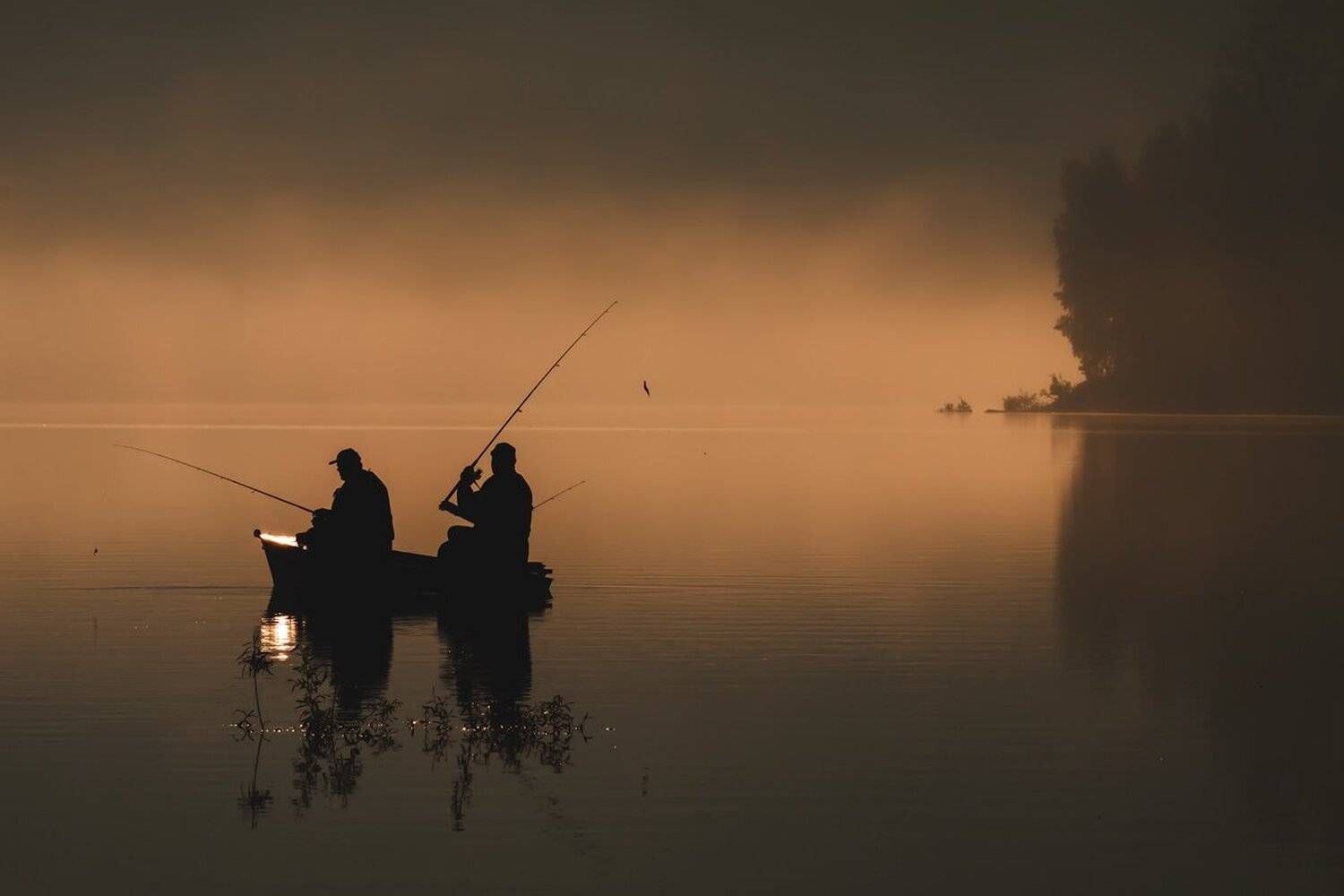 landscape,canon,mist,light,autumn,fog,lake, Iza i Darek Mitręga