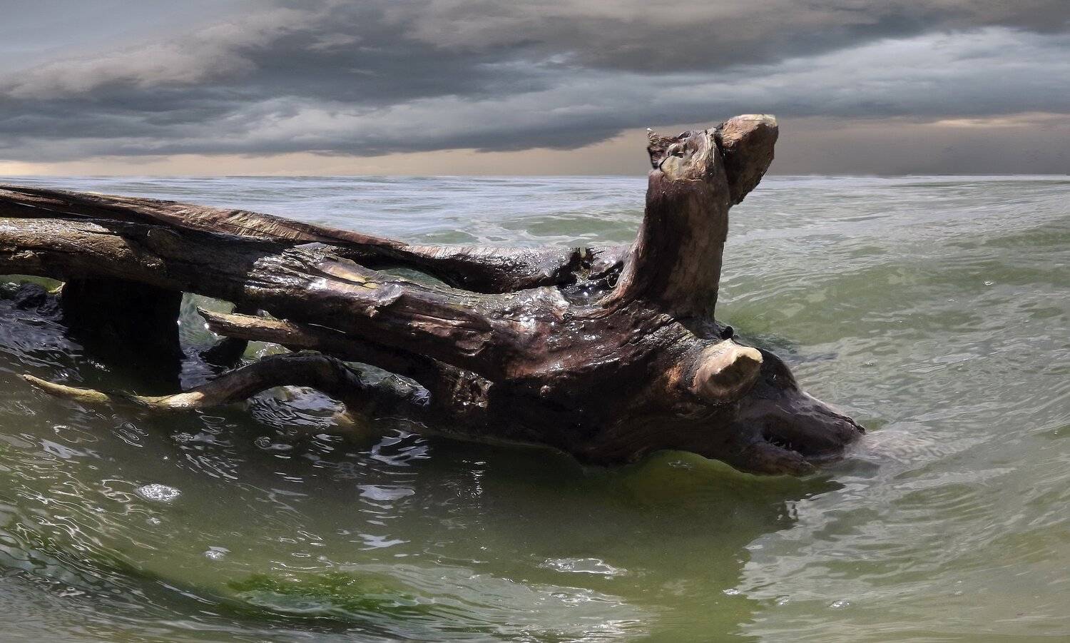 одесса, Сергей Кошелев