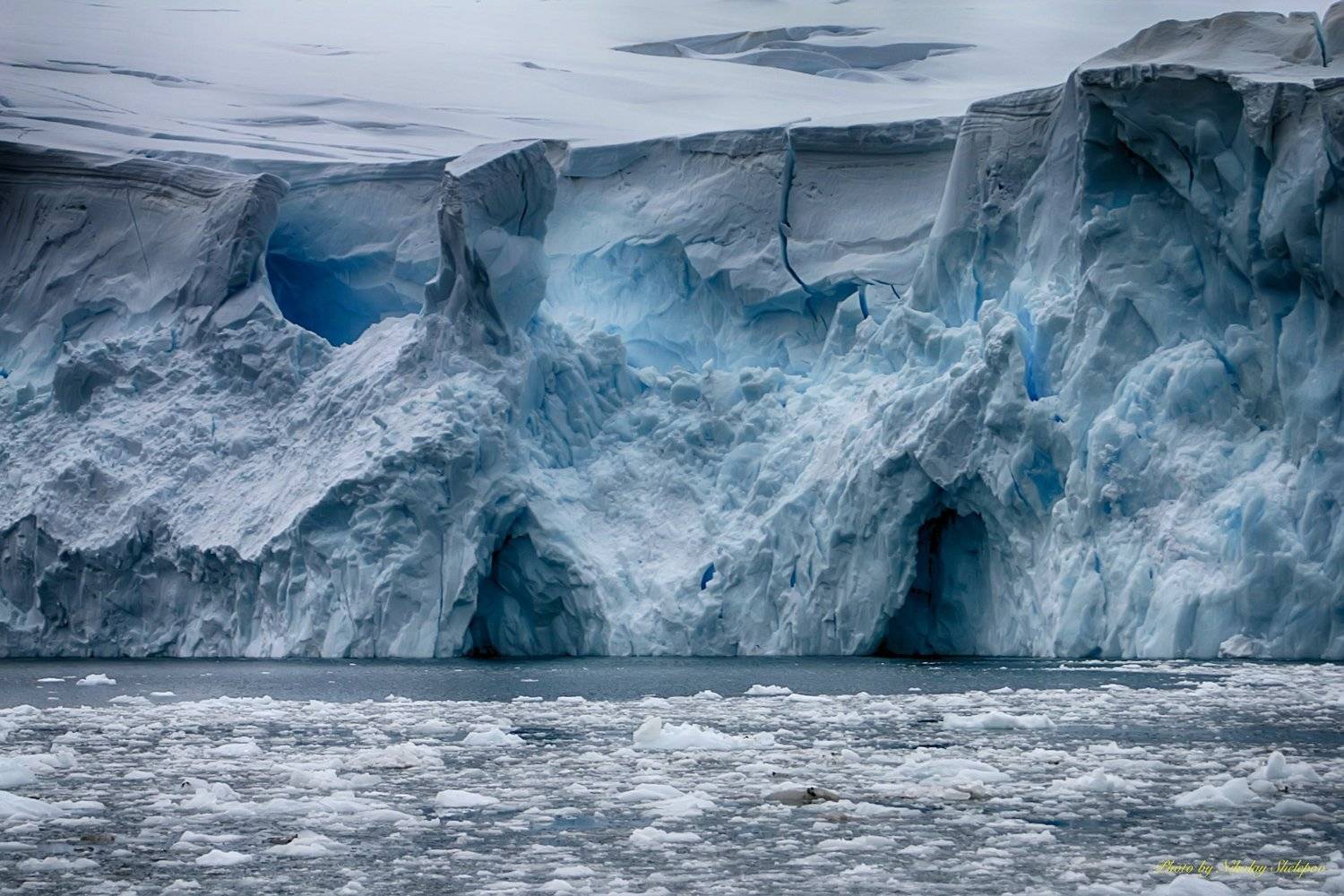 , Николай Шелепов