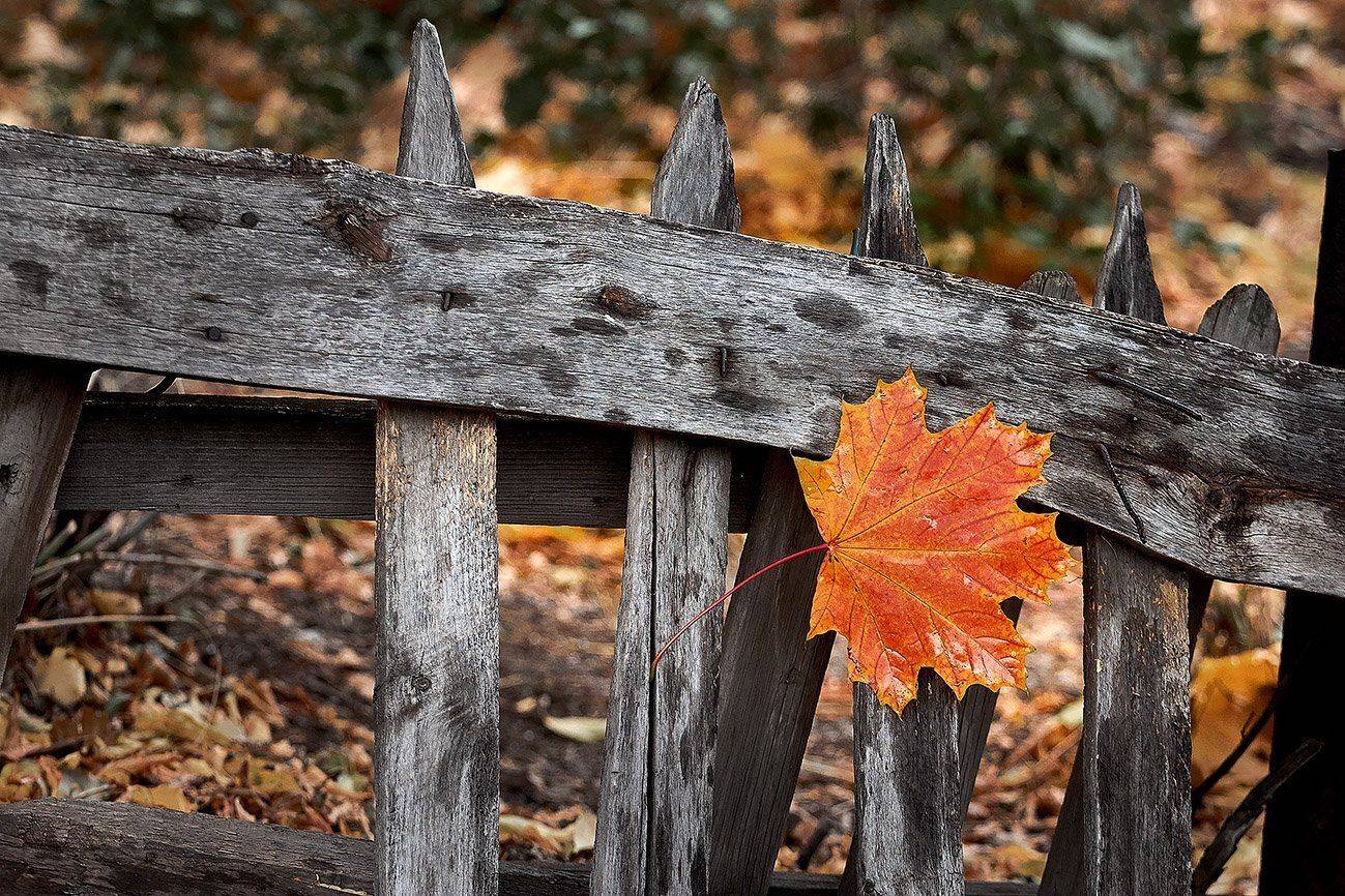 южный, урал, долгие горы, орск, новотроицк, карагай, урал, Качурин Алексей