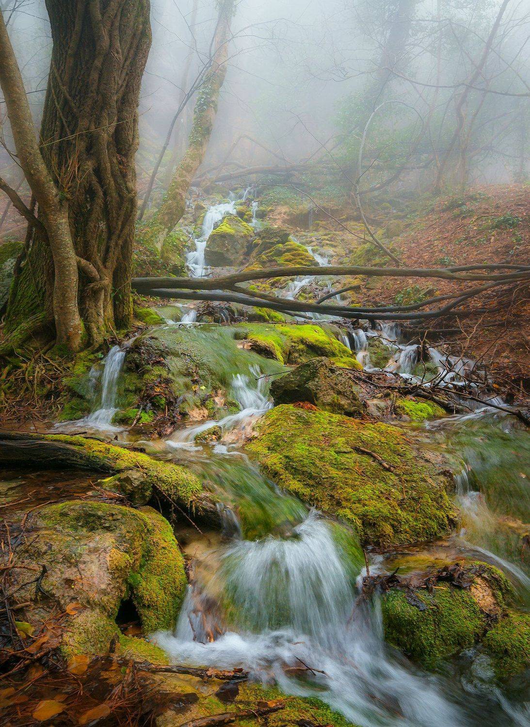 , Владимир Яковлев