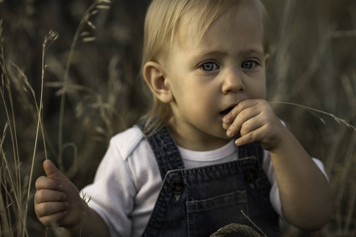 , Анита Козлова