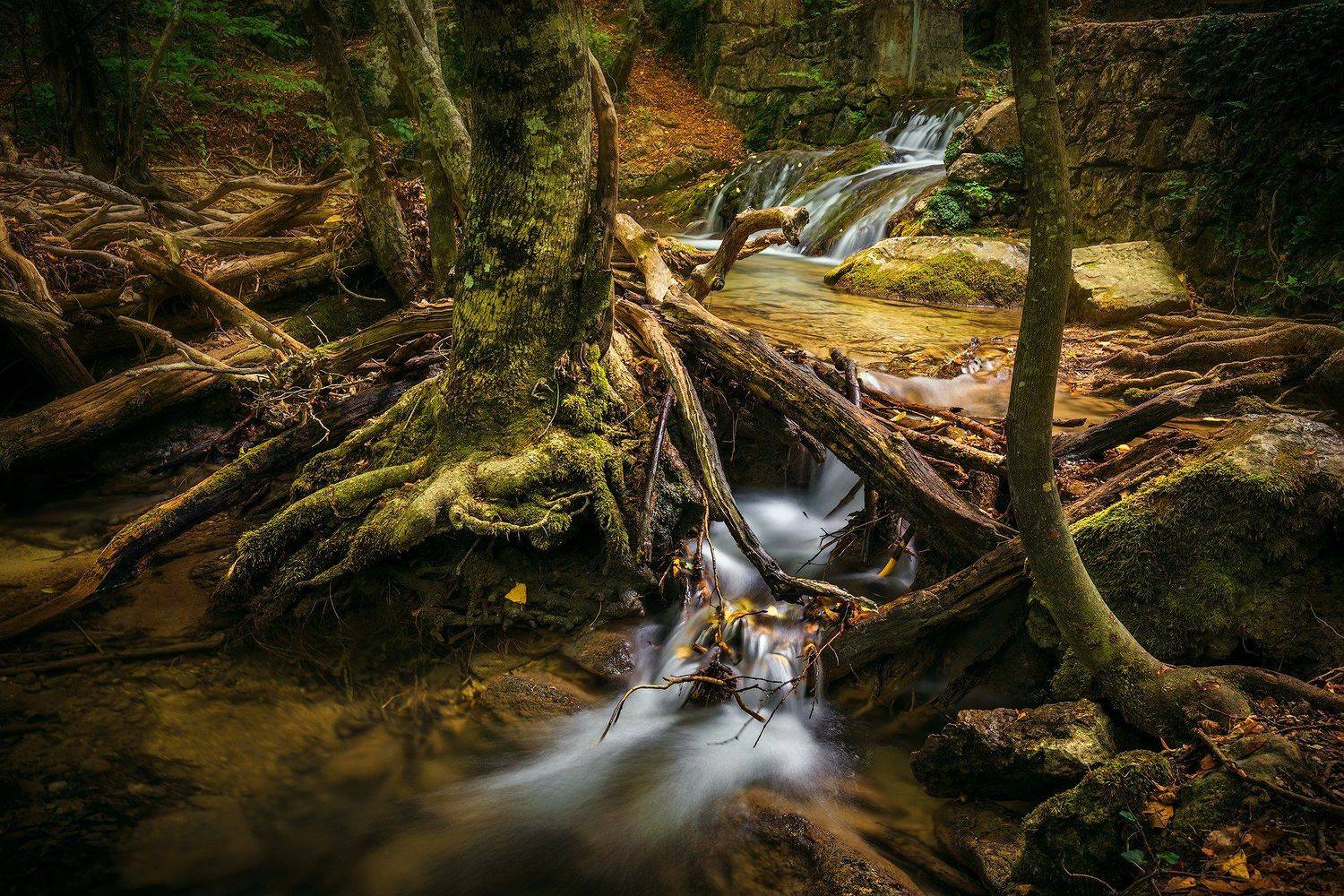 , Владимир Яковлев