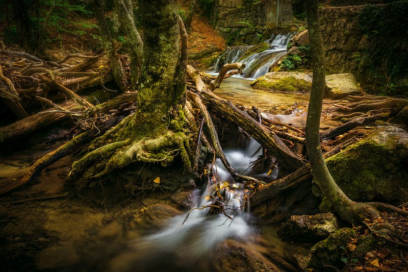 В ущелье. фото превью