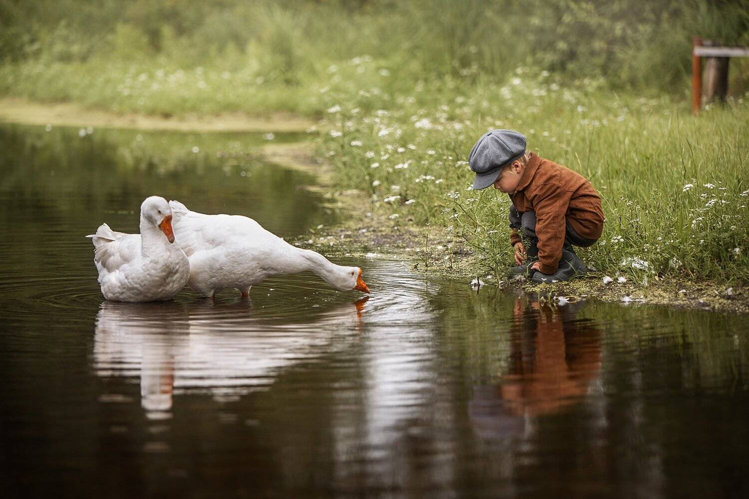 деревня, мальчик, дети, природа, гуси, дети и животные, рыбалка, рыбак, детская фотография, Елена Чернигина