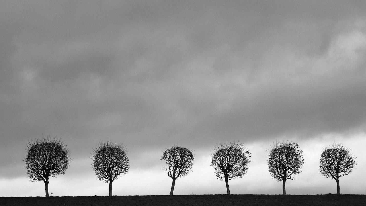 , Александр Зорин