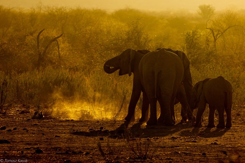 Sunset фото превью