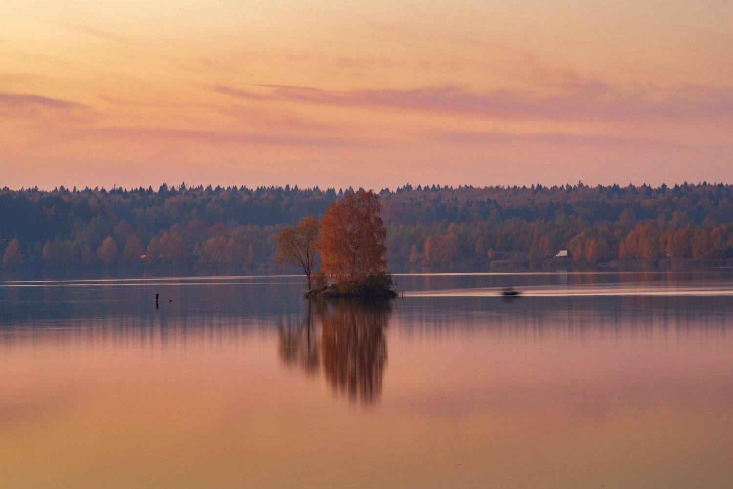 , Исаков Дмитрий