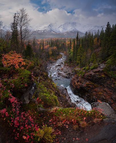 Первый снег