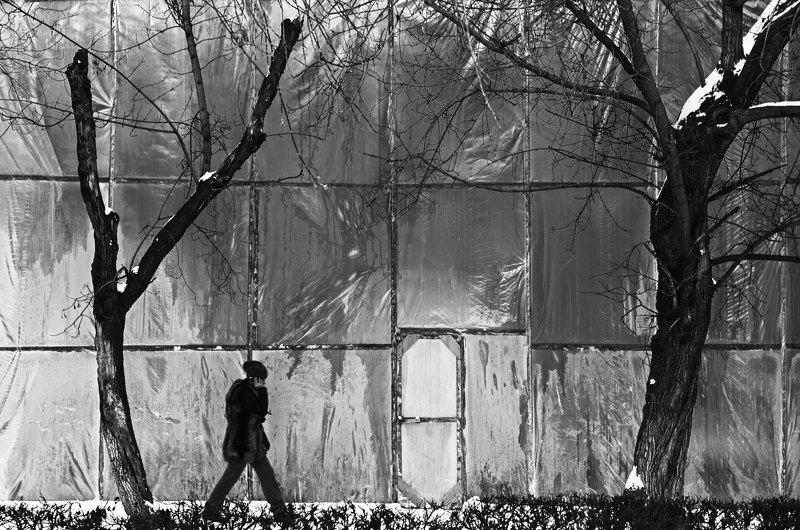 фотография, художественная, фотография, черно-белая, фотография, мороз ... фото превью