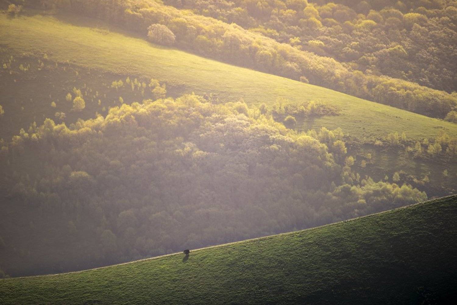 пейзаж, Дима