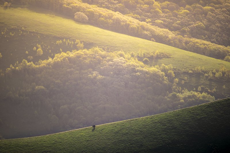 пейзаж Маркотхский хребет фото превью