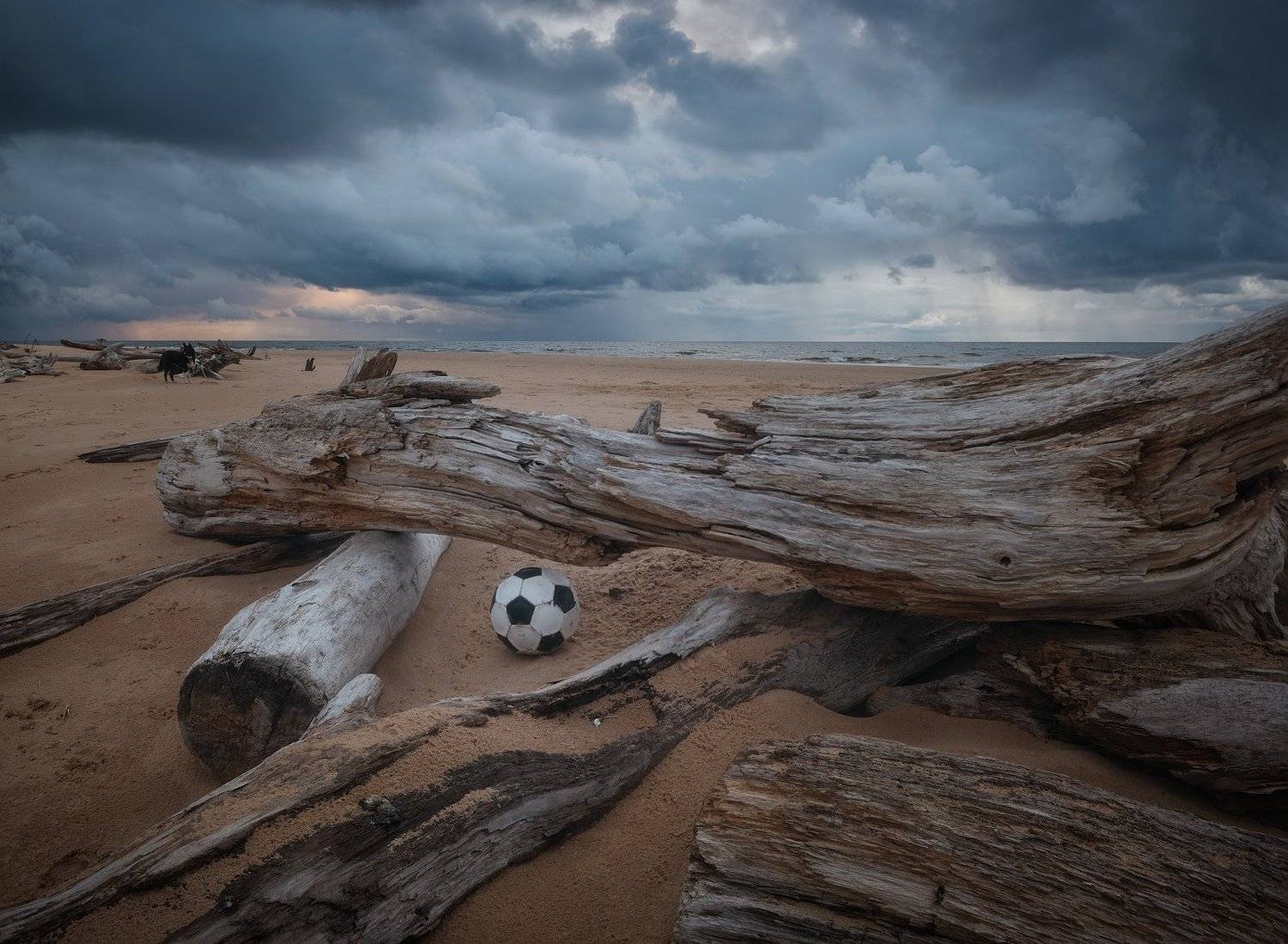 пейзаж море лето осень пляж, Алексей Мельситов