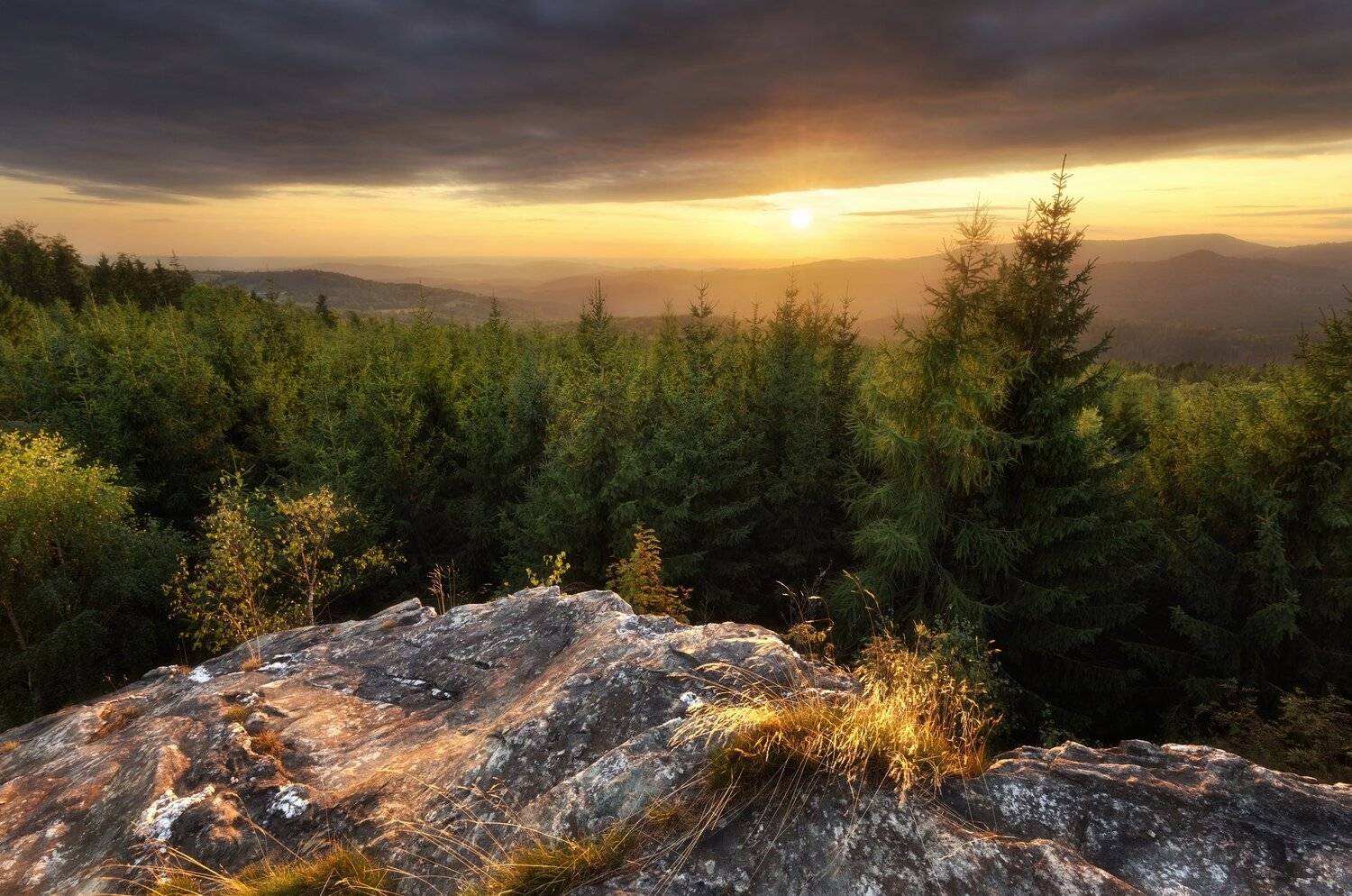 landscape, tree, sunset, Petr Fiala