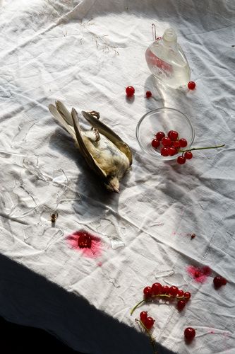 naturemorte с птичкой