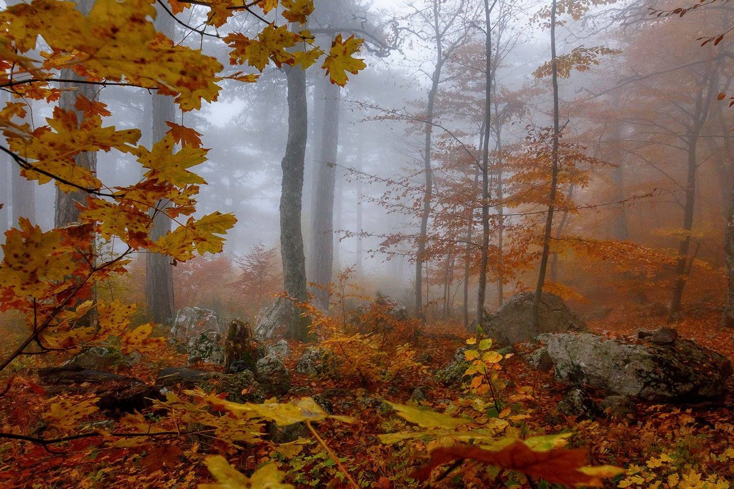 , Александр Костенко