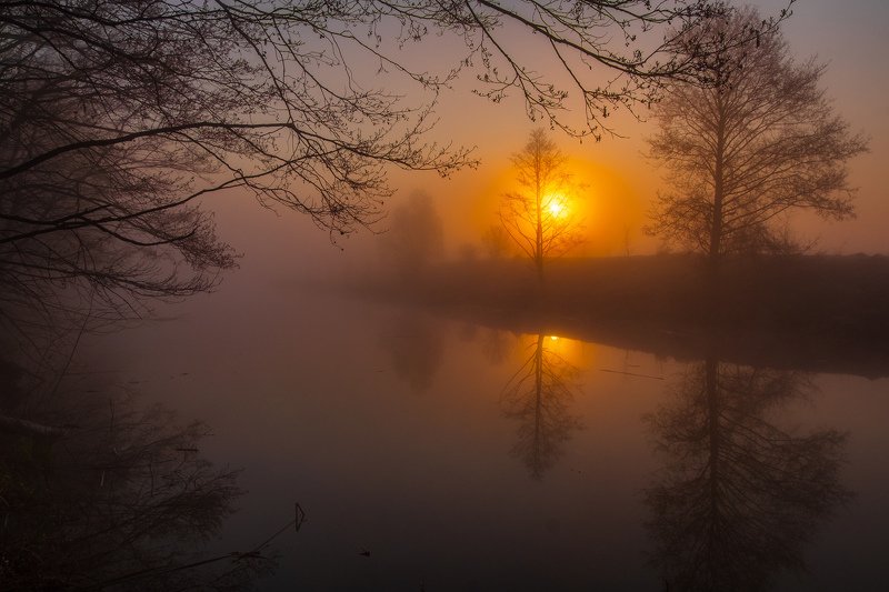 sunrise dawn landscape пейзаж рассвет природа Туманное озеро фото превью