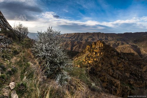 Аул Гамсутль