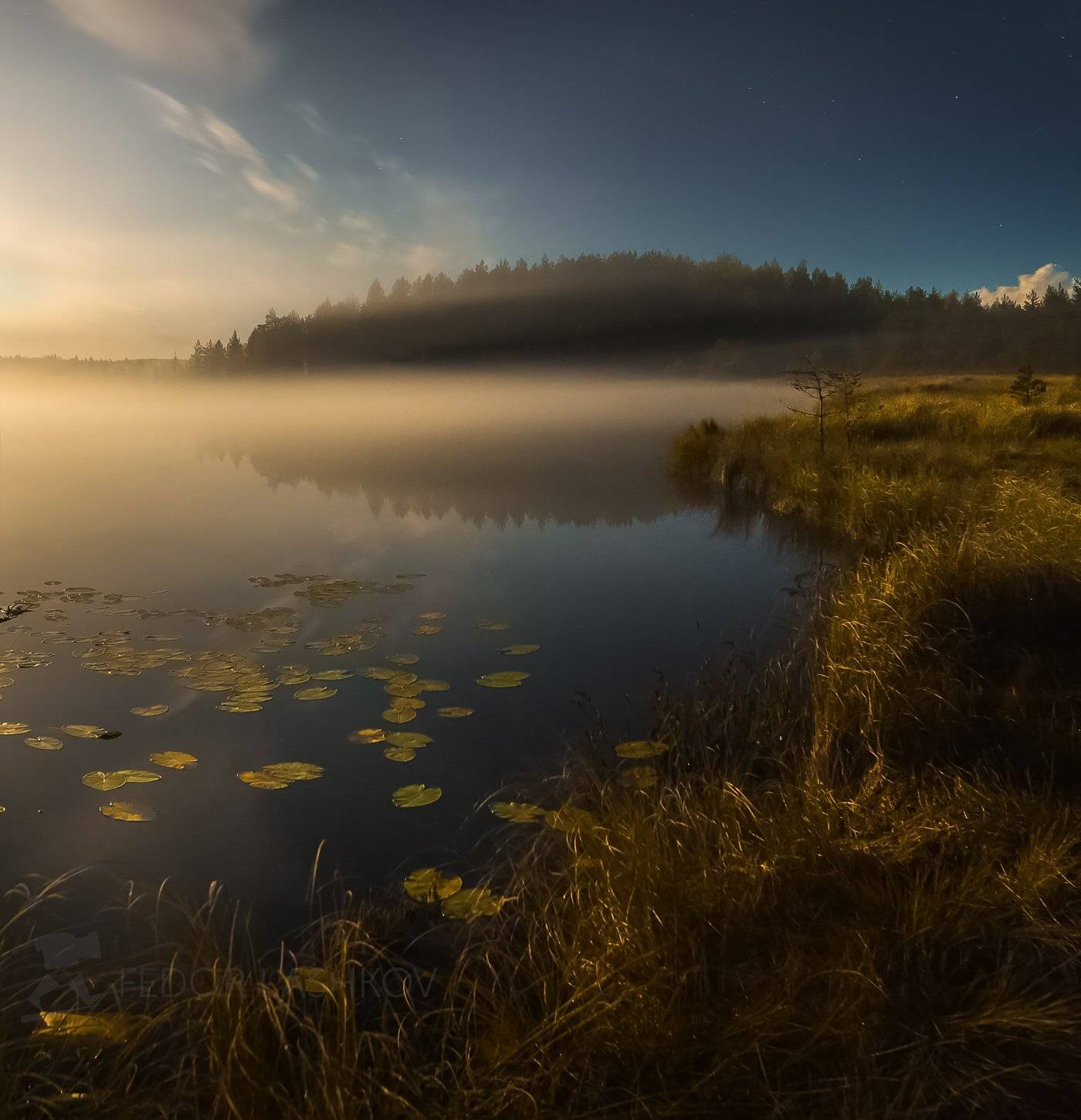 ночь, ленинградская область, осень, полнолунье, луна, сосны, озеро, туман, облака, ночью, ночь, ярко, свет,, Лашков Фёдор