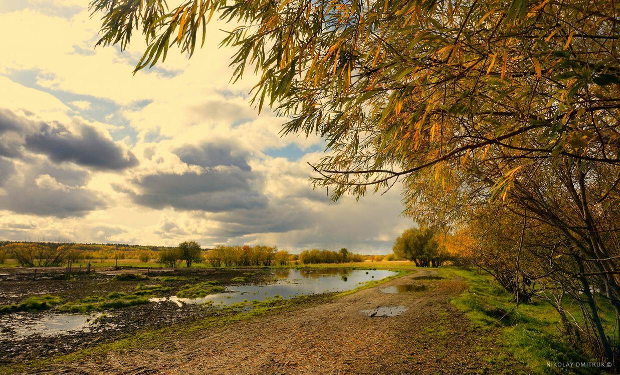 пейзаж, николай дмитрук