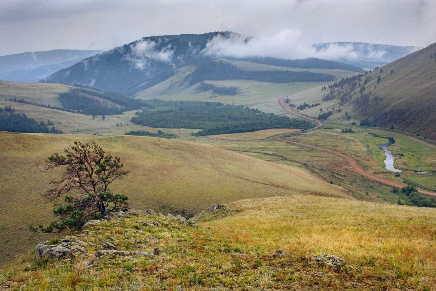 сувинская саксония баргузинская долина, Дмитрий Алексеев