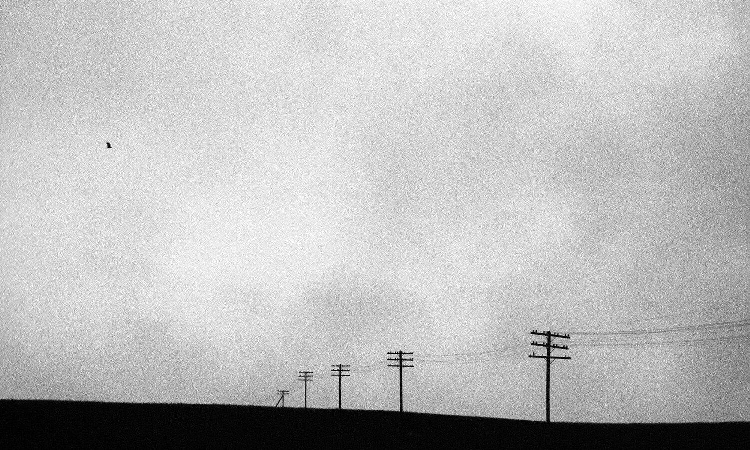 canon ef24-70mm f/2.8l ii usm | rollei retro 80s | r09, Дмитрий Рябов