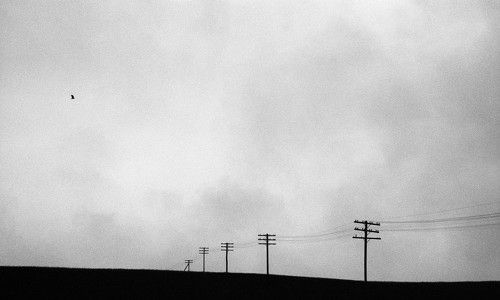 flying over the wires