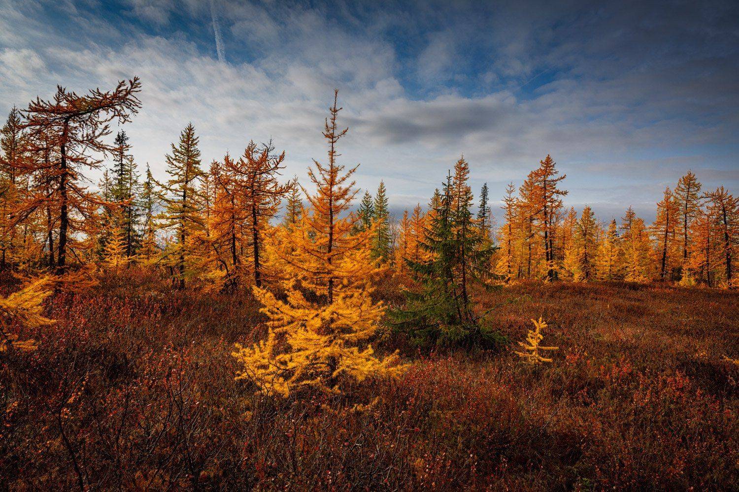 , Евгений Кужилев