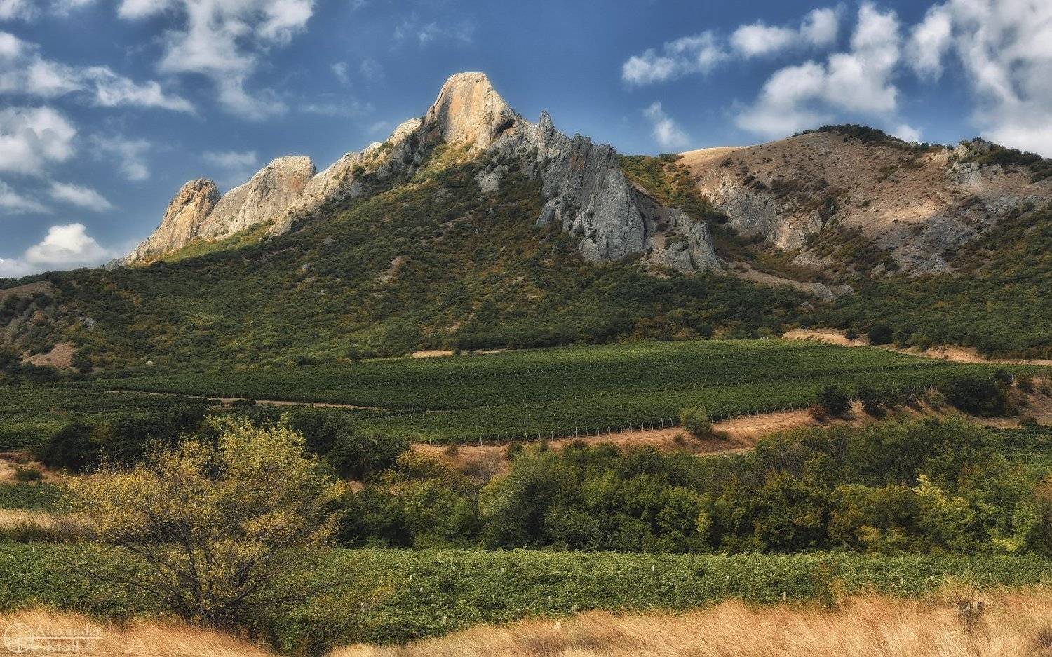 , Александр Круль