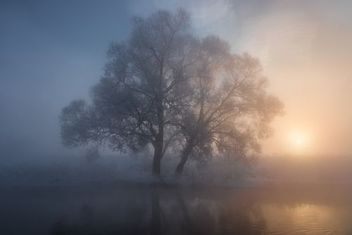 Противостояние