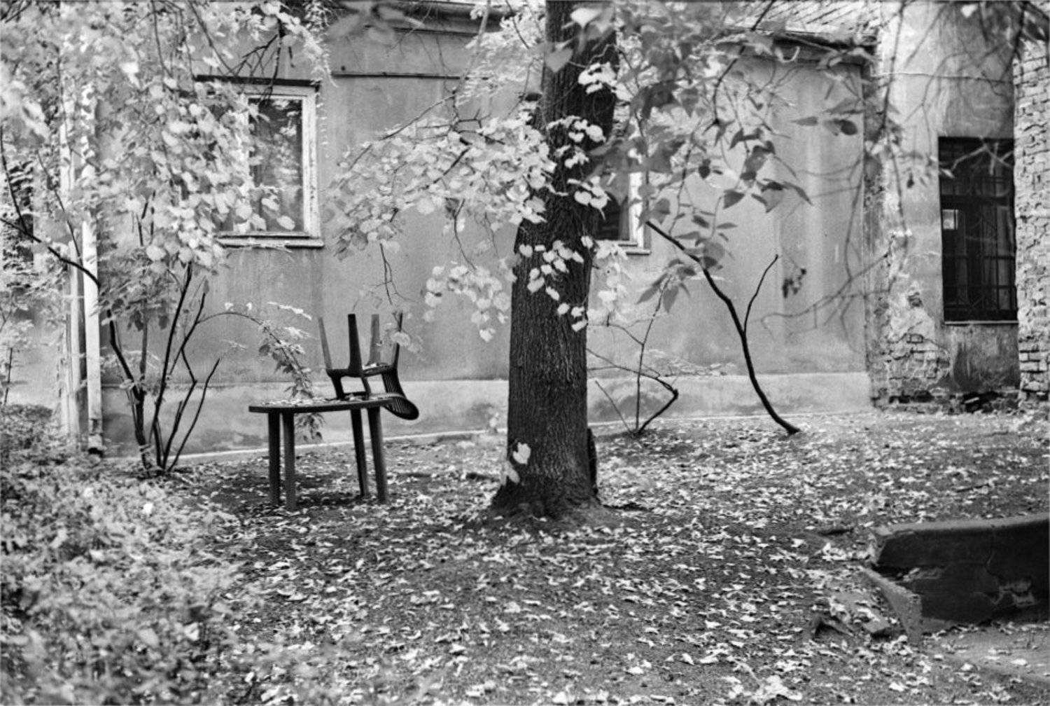 , Петр Стуль