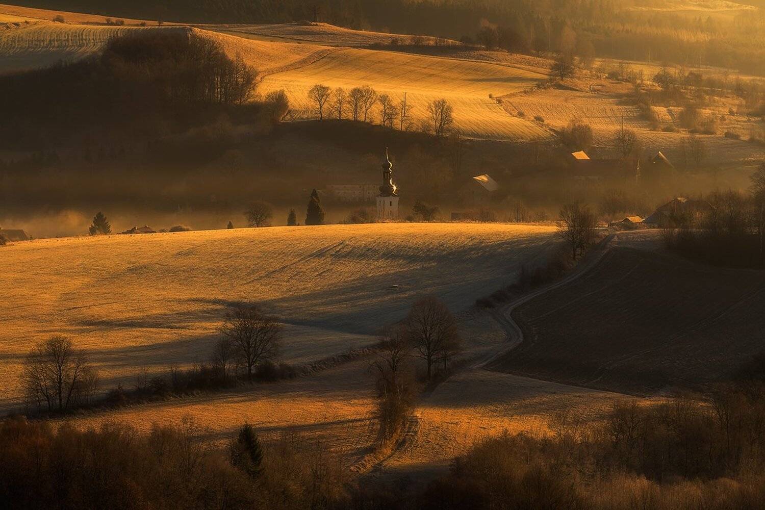 landscape,canon,mist,light,autumn, Iza i Darek Mitręga