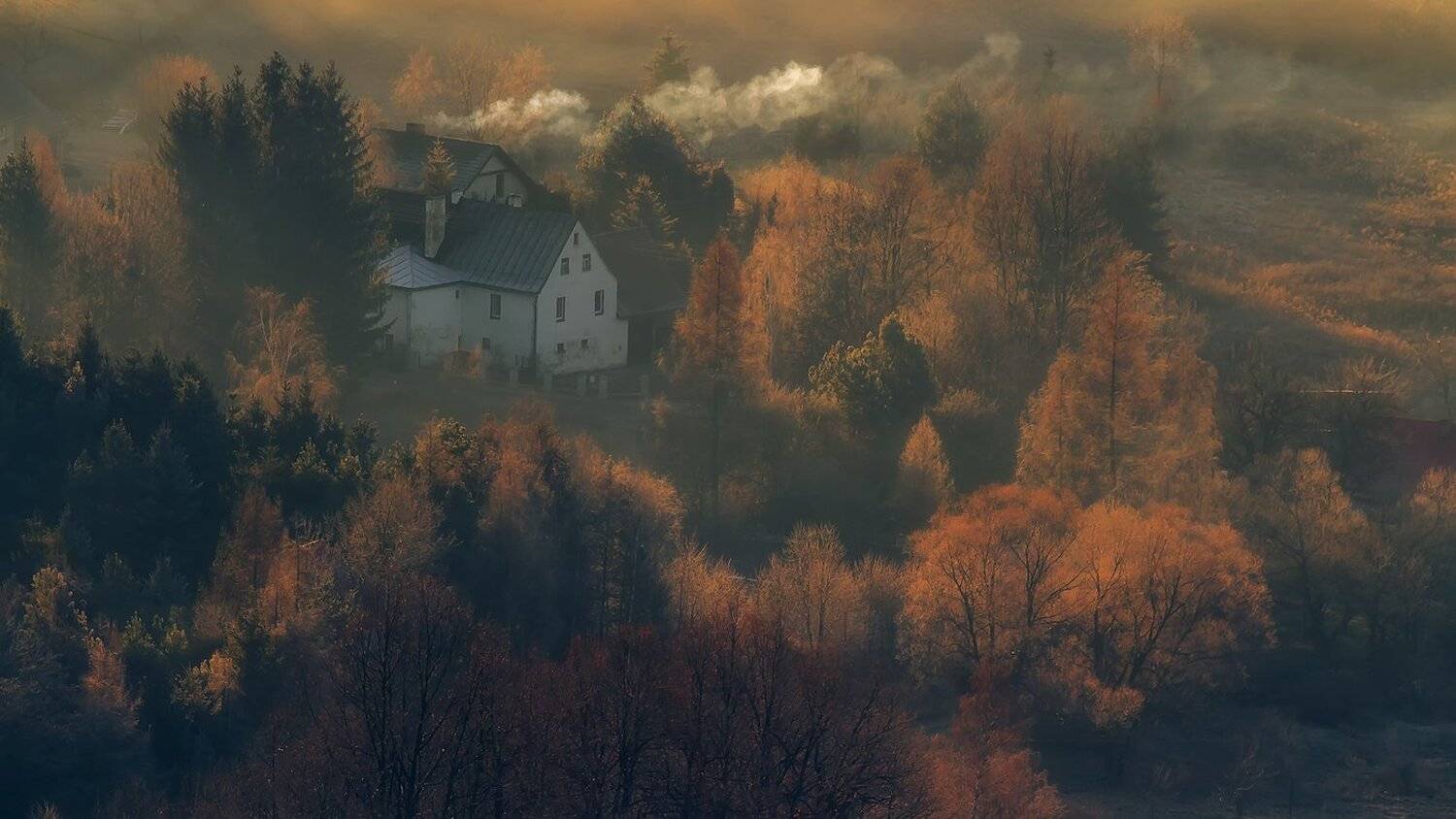 landscape,canon,mist,light,autumn, Iza i Darek Mitręga